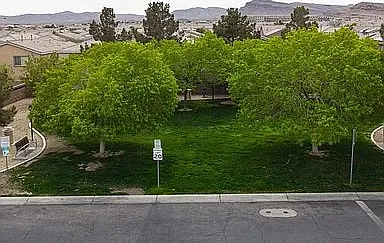 9031 Vintage Wine Ave — Photo 13