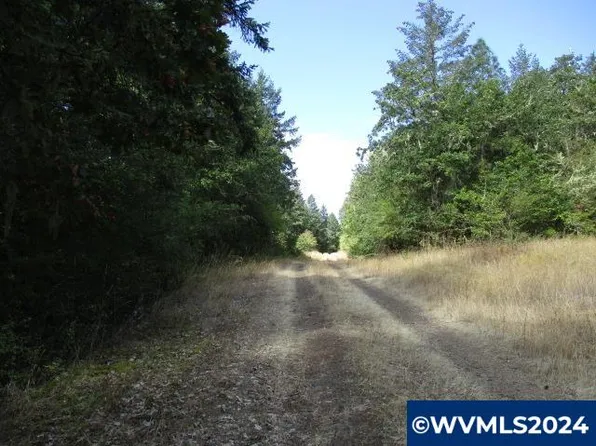 100 & 200 Bellinger Scale Rd, Lebanon, OR 97355