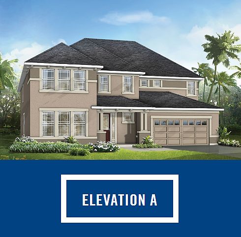 Elevation