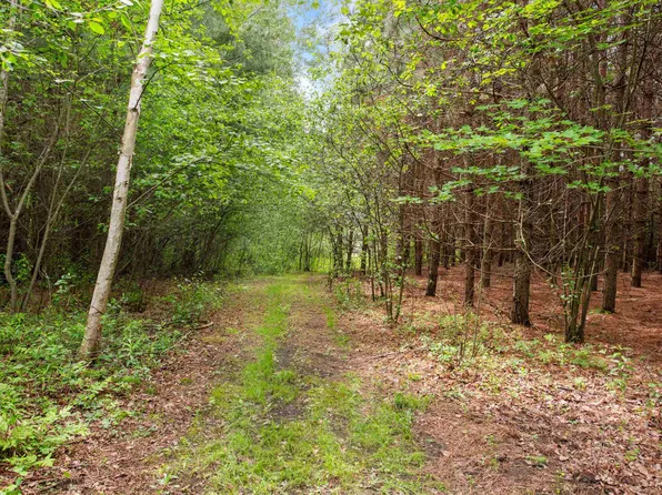Hale School Rd, Peshtigo, WI 54157