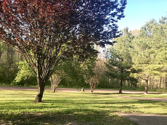 View from the front porch.