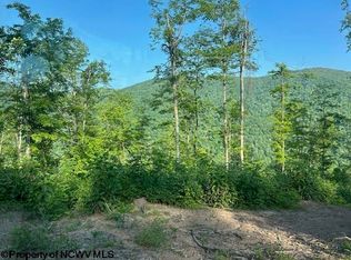 Cheat Valley Hwy, Parsons, WV 26287