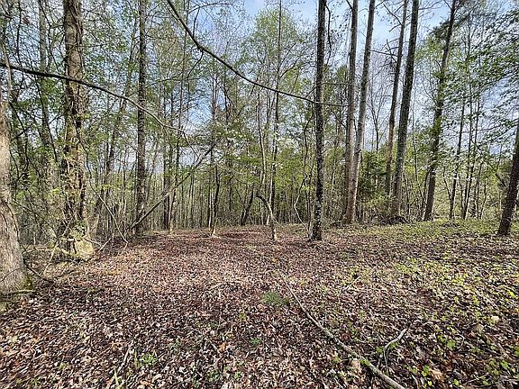 4th image of 126 Preserve Pkwy Lot 55