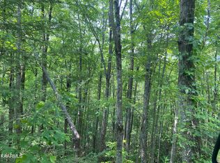 LOT 1 John Sevier Dr, Sevierville, TN 37876