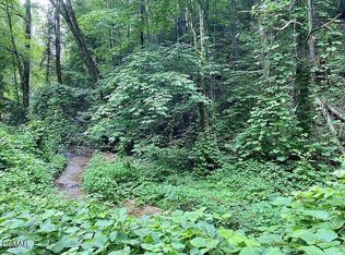 LOT 1 Black Walnut Flats Rd, Sevierville, TN 37862