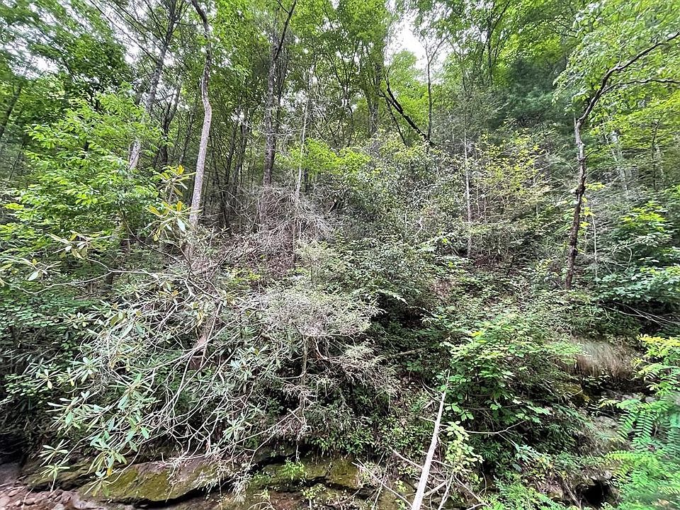 1st image of 19 Spicewood St Lot 19