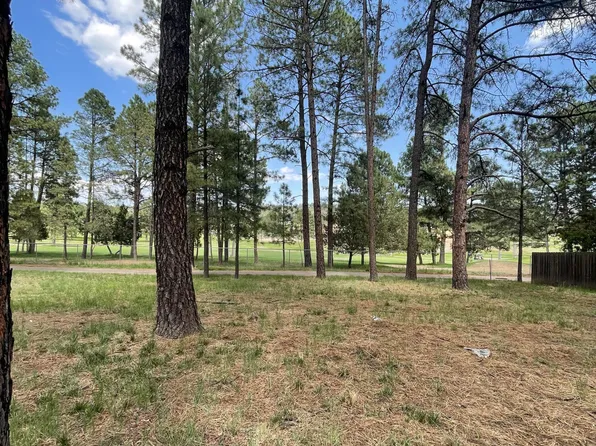 310 Heath Dr, Ruidoso, NM 88345