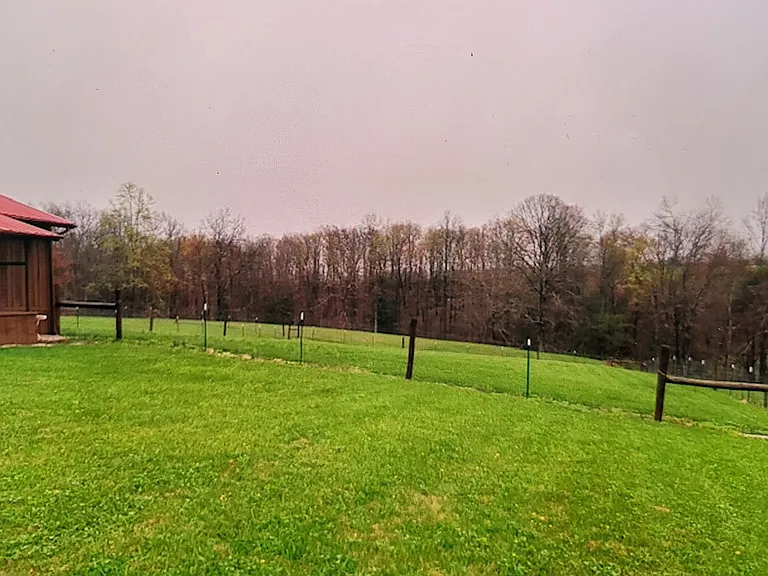 Dog yard