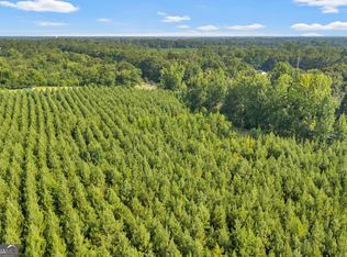 Allen Lot Turkey Creek Rd, Danville, GA 31017