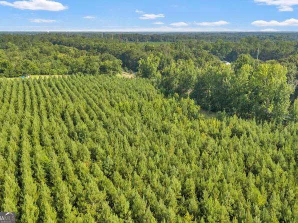 Allen Lot Turkey Creek Rd, Danville, GA 31017