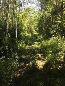 xxx County Line Road, Brule, WI, 54820