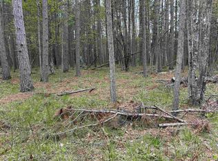 PARCEL 2 Paint River Rd, Crystal Falls, MI 49920