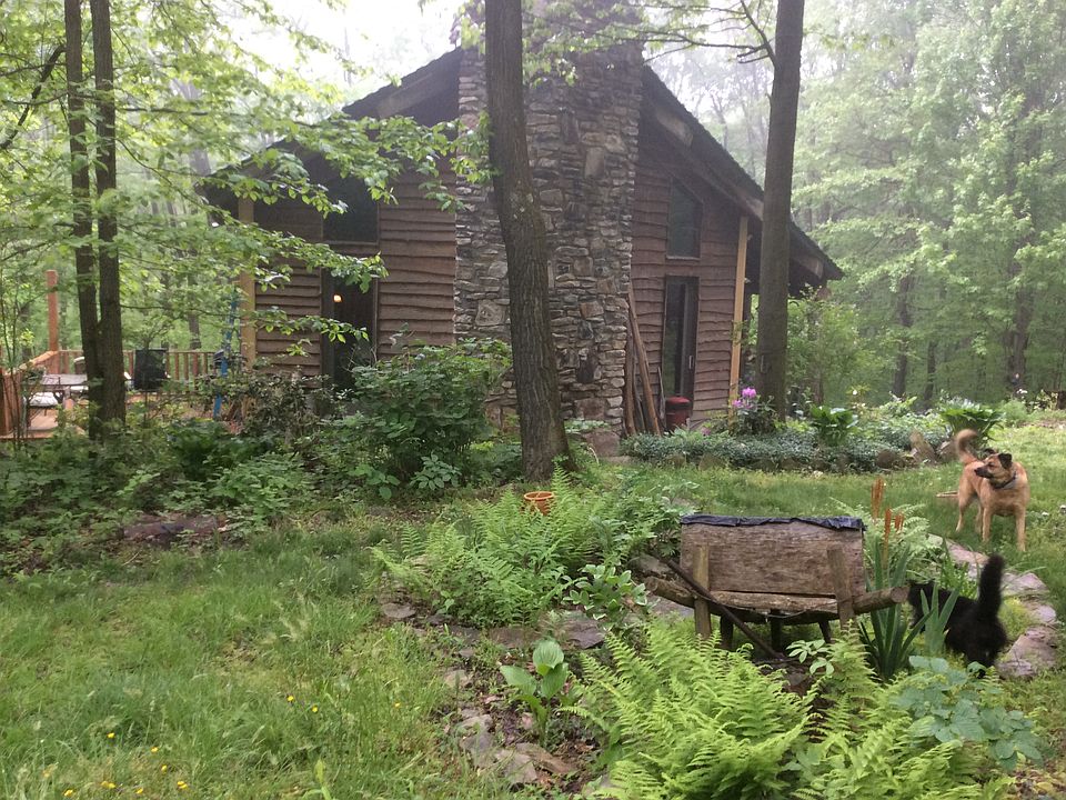 Yard & Garden View