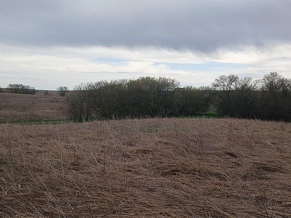3rd image of 62 Acres 82nd St