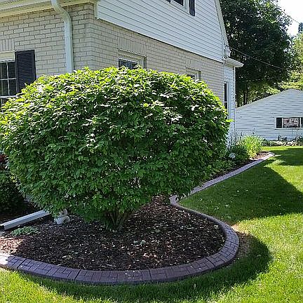2nd image of 10541 W Manor Park Dr