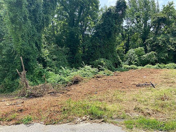 4th image of 740 Jefferson Pl