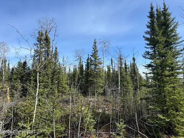 Unk Yukon Ave, Anderson, AK 99744