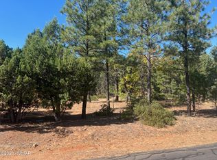 1341 S Jimson Loop, Show Low, AZ 85901