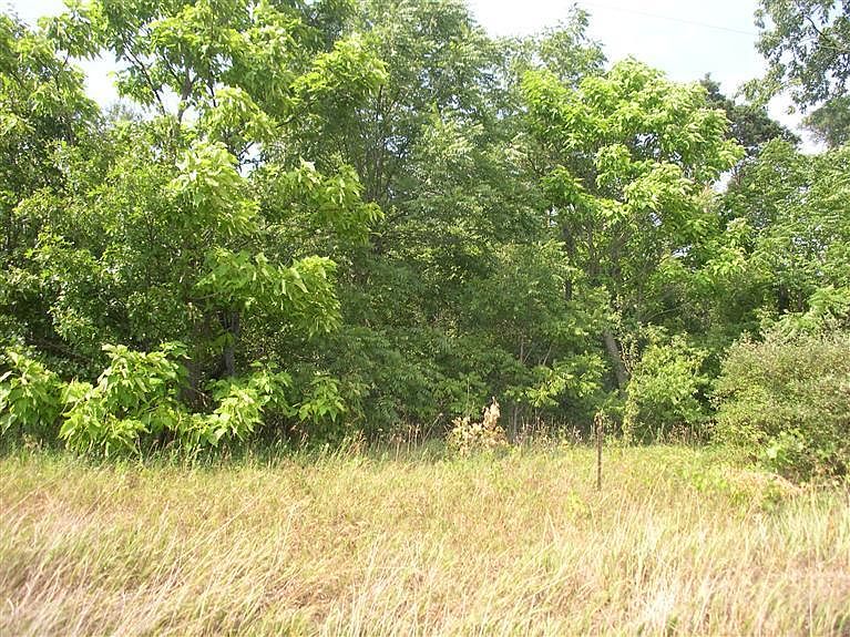1st image of Davis Lake St