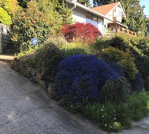 Driveway and entrance