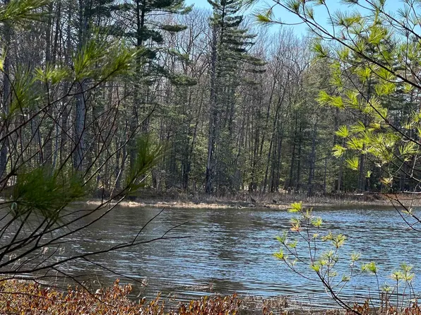 592 Blue Heron Dr SE, Kalkaska, MI 49646