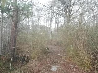 9130 Canvas Ln, Ladson, SC 29456