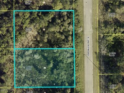 842 Joponica Ave S, Lehigh Acres, FL, 33974