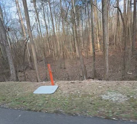 4th image of 0 Cascade Palmetto Hwy