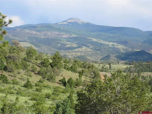 258 Black Bear Trail, South Fork, CO 81154