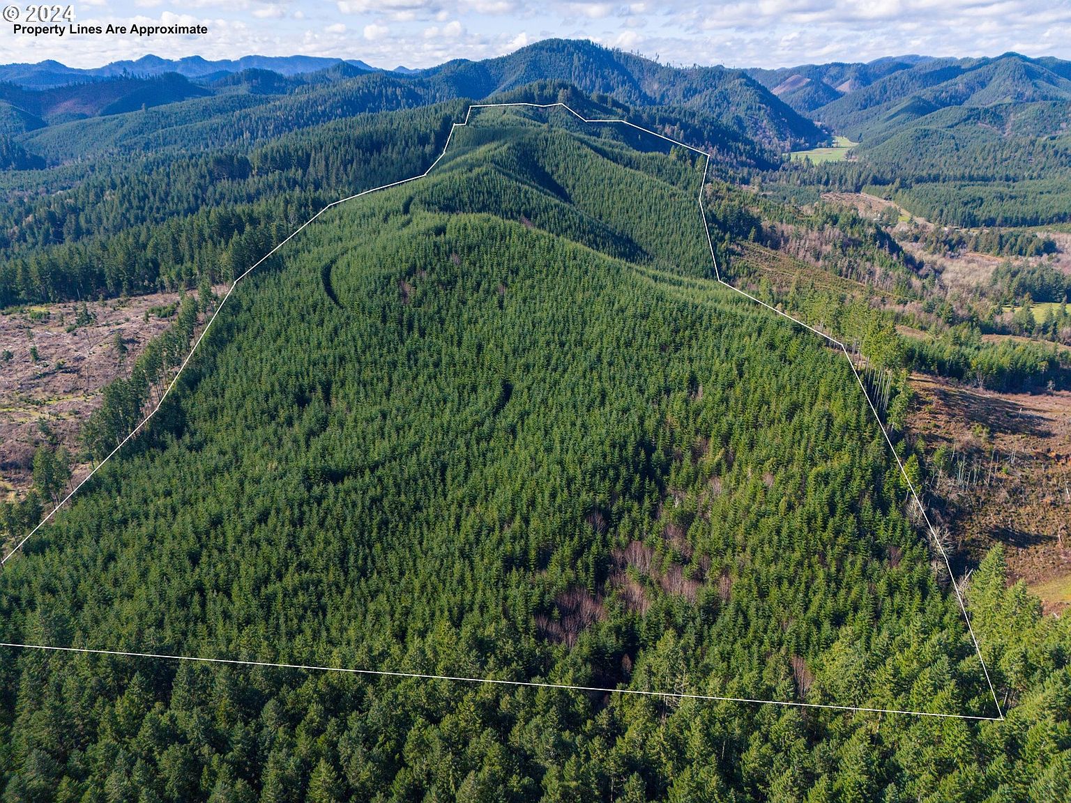 Allison Rd, Noti, OR 97461 Zillow