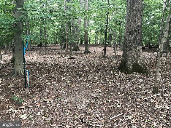 2nd image of 703 Woodland Dr