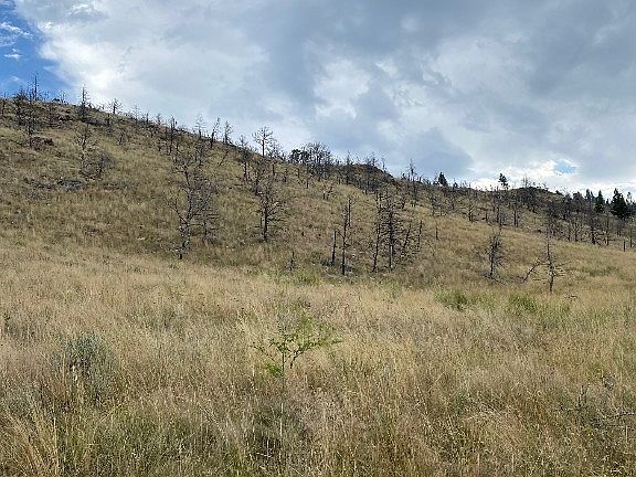 5th image of LOT 25 Mayn Creek Rd