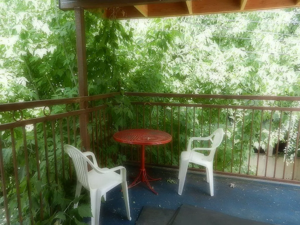 1 bed, 720 sqft, $1,595 — Photo 4
