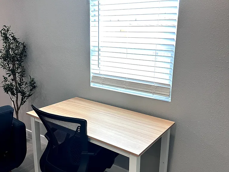 Living Room with Work Desk