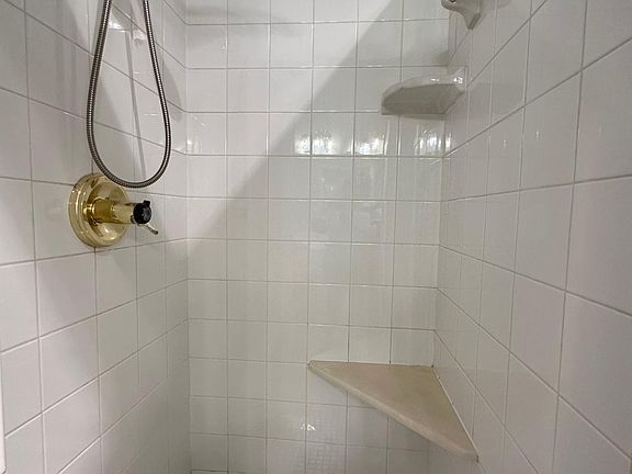 Primary Shower