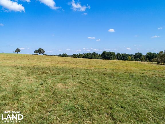 Coastal thrives out in these sandy loam soils not far from Athens. 