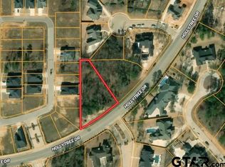 8205 Hollytree Dr, Tyler, TX 75703