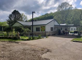 75 Camp River Rd, Frametown, WV 26623
