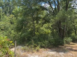 Tbd 208th St, Obrien, FL 32071