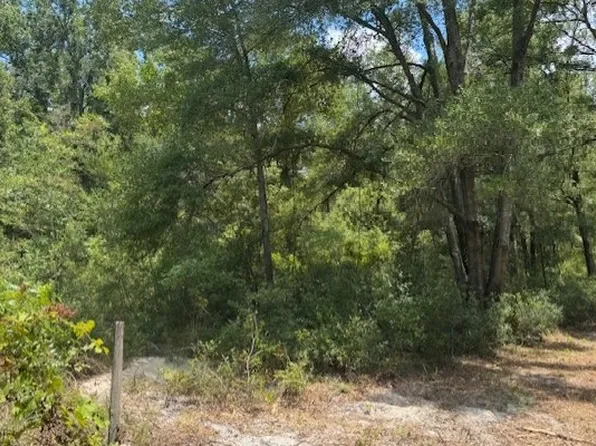 Tbd 208th St, Obrien, FL 32071