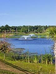 View from Back Patio