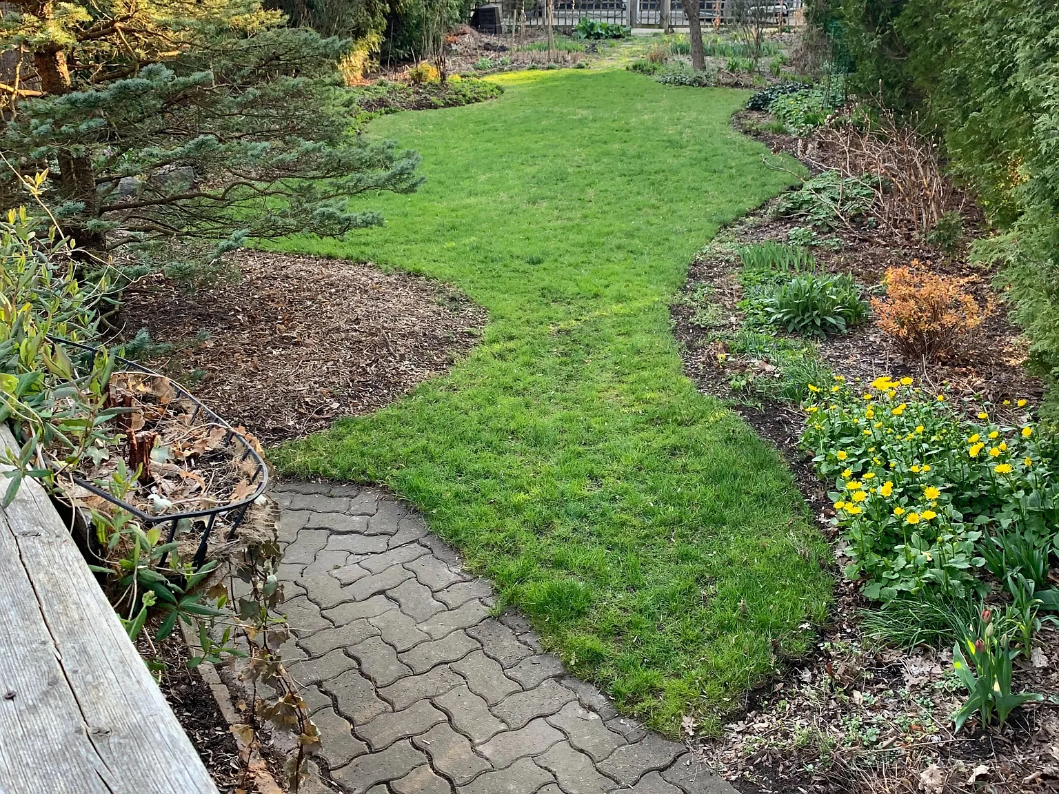 6 bed, $600 — Photo 2
