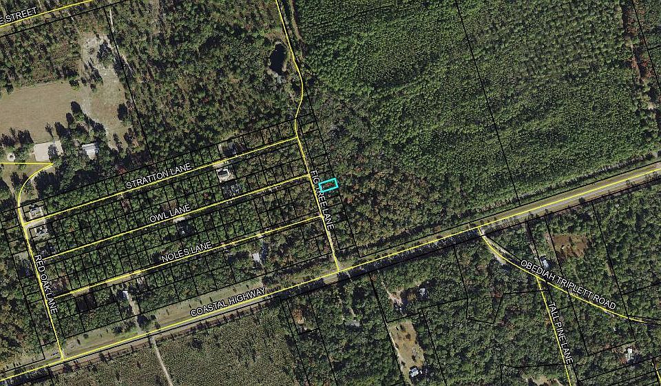 2nd image of 8 Fig Tree Ln