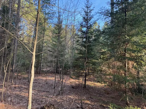 N Dyer Park Lot 28, Eagle River, WI 54521