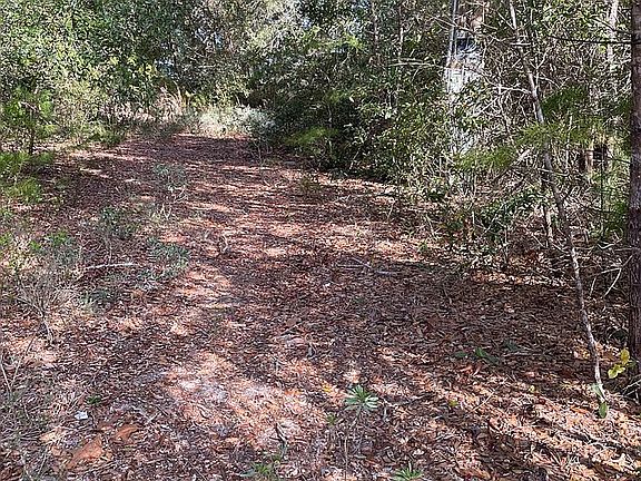 3rd image of 5404 Maverick Ln