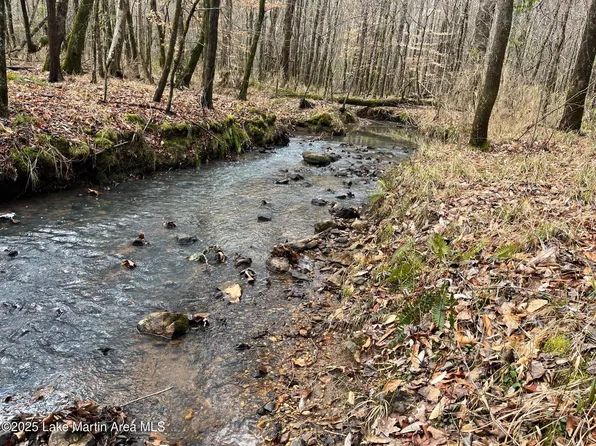 87.5 Acres Hwy S #49, Dadeville, AL 36853