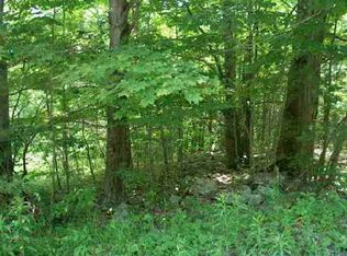 Roney Rd, Preston Hollow, NY 12469