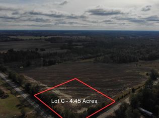 LOT Fish Pynes Rd #C, Pansey, AL 36370