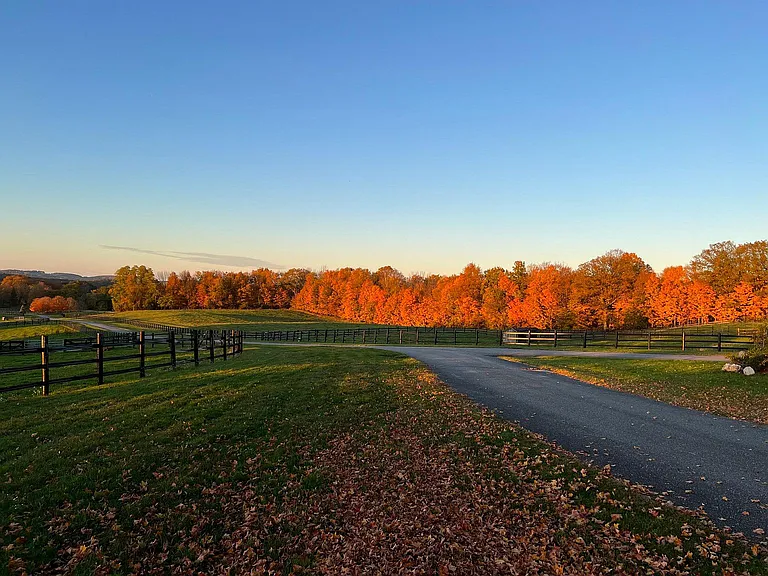 Route 44 — Photo 42
