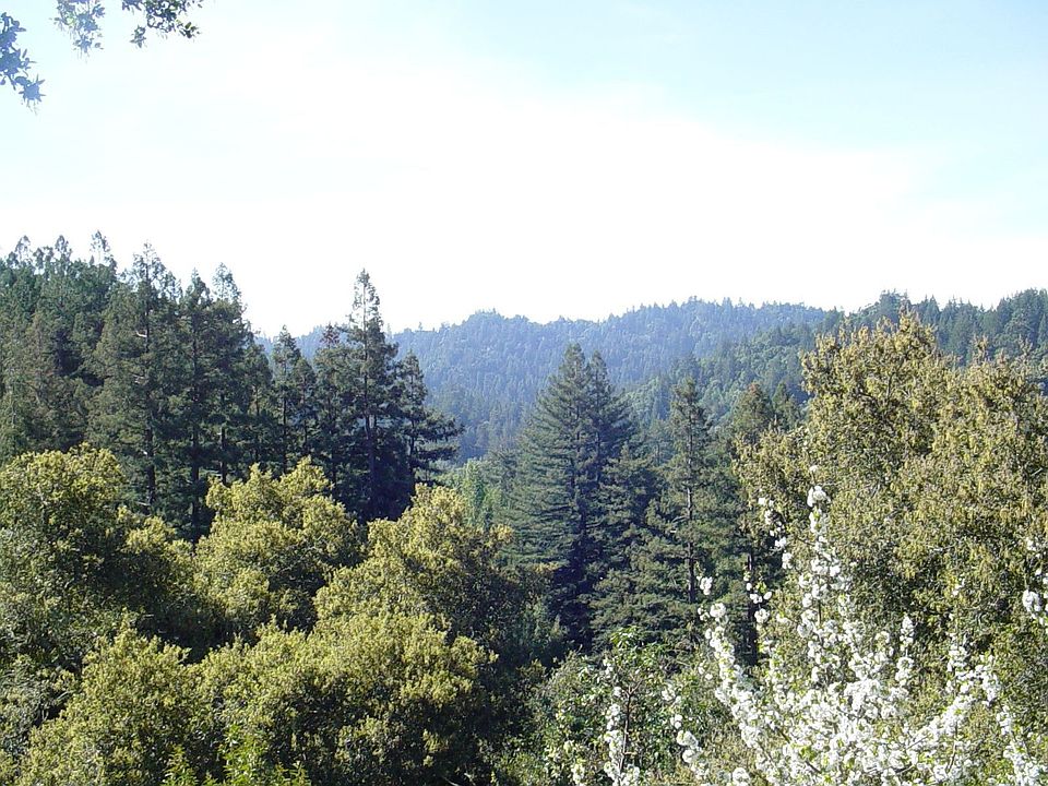 View from living room 